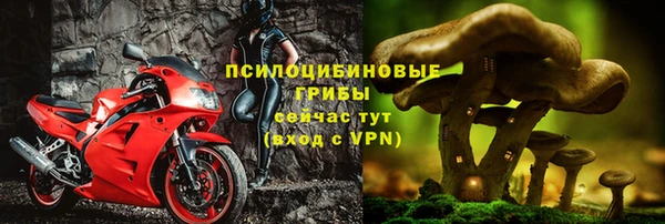 ECSTASY Ростов