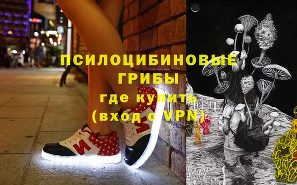 мдпв Балахна
