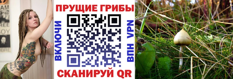 Галлюциногенные грибы ЛСД  Новозыбков 