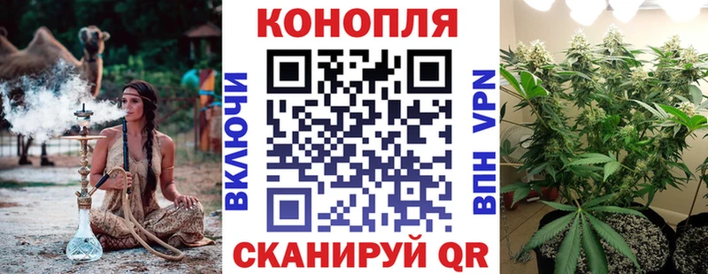 Марихуана THC 21% что такое Новозыбков